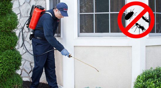 Yeniçağa Dezenfeksiyon böcek ilaçlama ve haşere kontrolü — ilaclama-tr.com